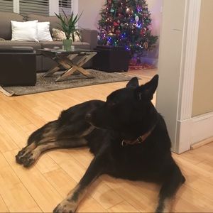 Meet your Posher, Rufina